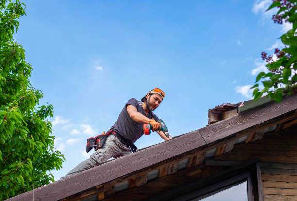 Best Roof Maintenance and Cleaning  in New Baltimore, OH